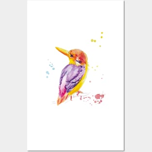 watercolor kingfisher bird drawing Posters and Art